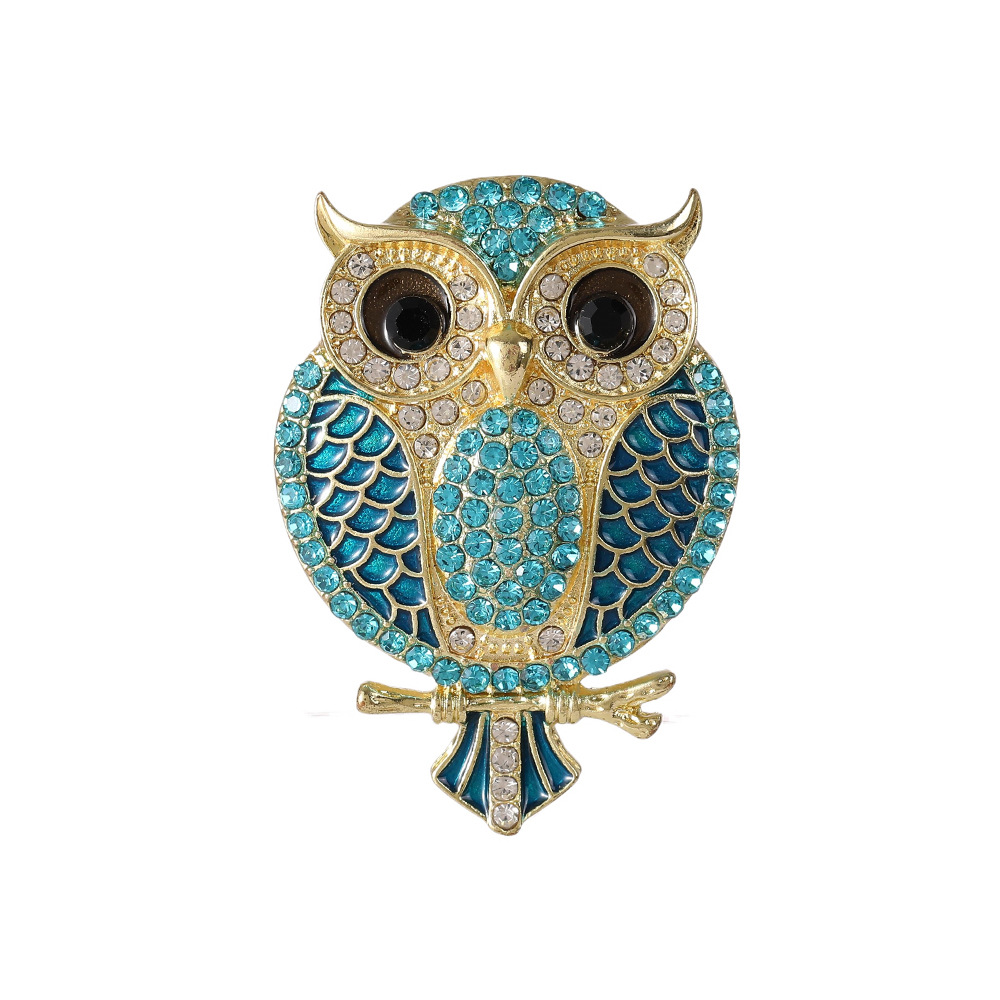 Broches de coruja para mulhere - Women'S Accessories Categories avaliação e preço